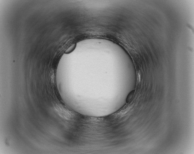 X0000095901251200801110757