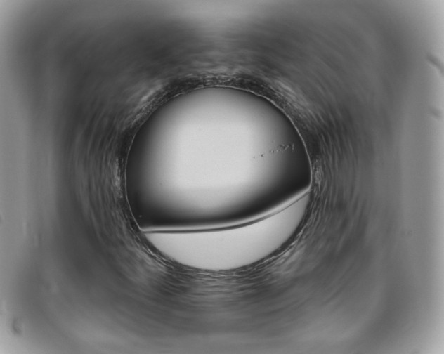 X0000095901252200801110757