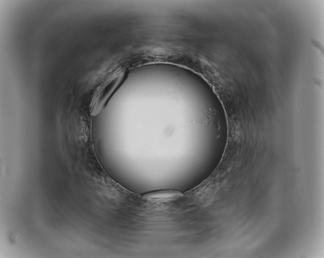 X0000095901253200801110757