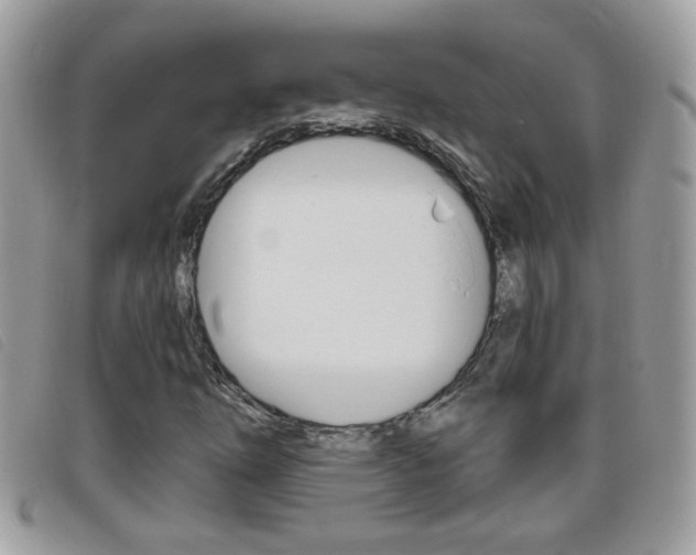 X0000095901254200801110757