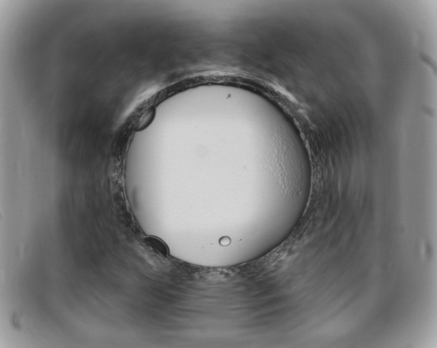 X0000095901255200801110757