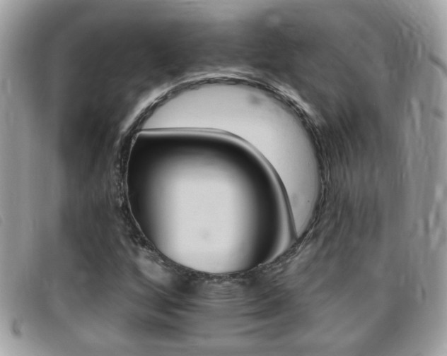 X0000095901256200801110757