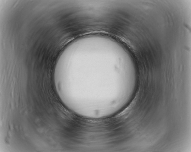 X0000095901257200801110757