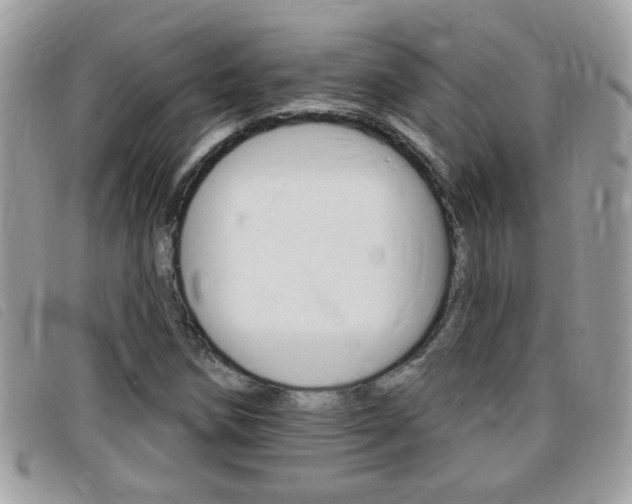 X0000095901258200801110757