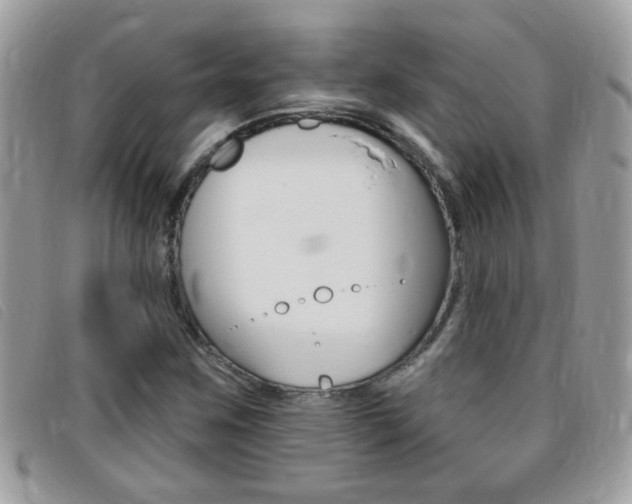 X0000095901259200801110757