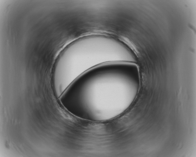 X0000095901260200801110757
