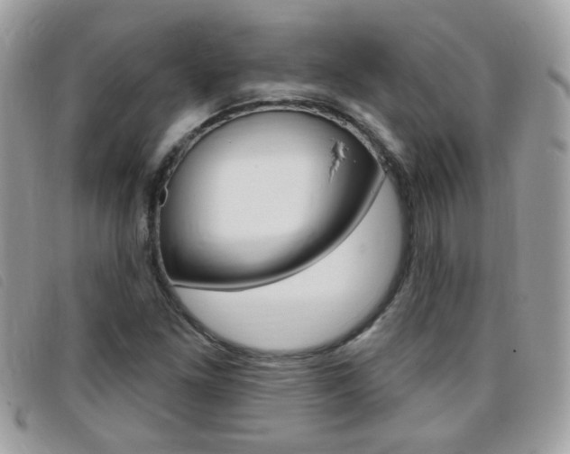X0000095901261200801110757