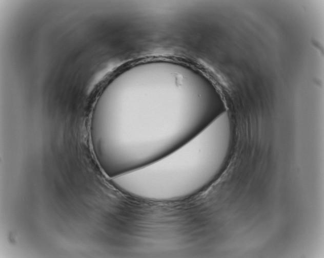 X0000095901262200801110757