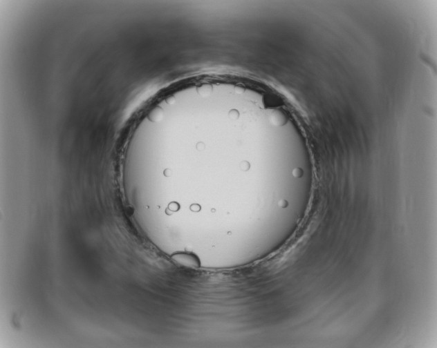 X0000095901263200801110757