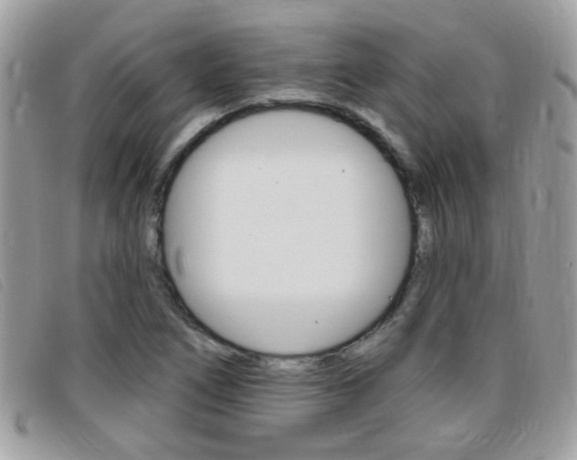 X0000095901266200801110757