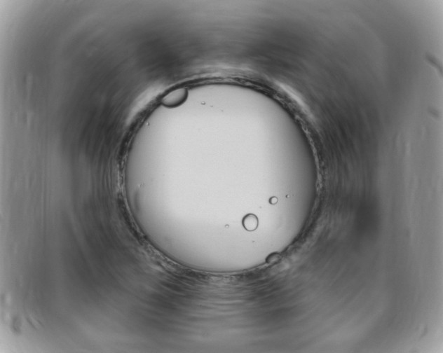 X0000095901267200801110757