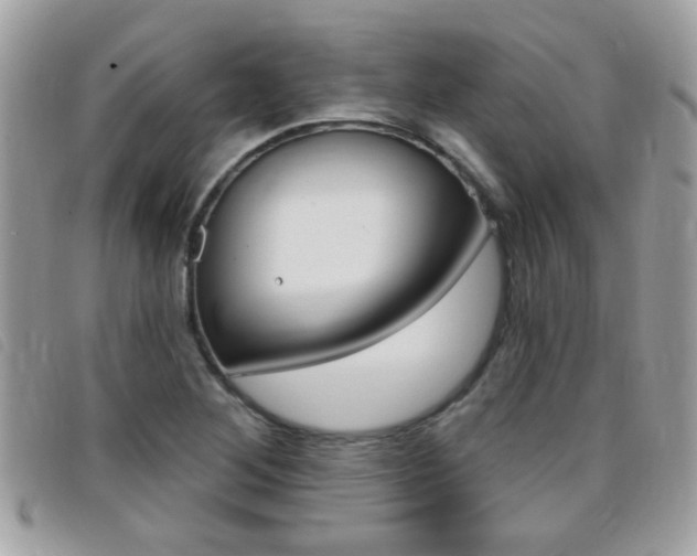 X0000095901268200801110757