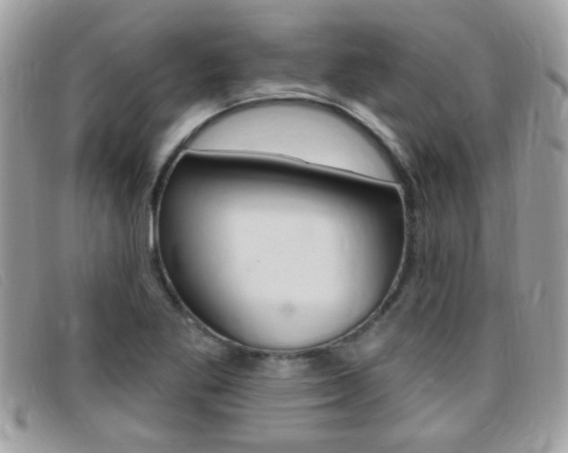 X0000095901269200801110757