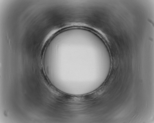 X0000095901271200801110757