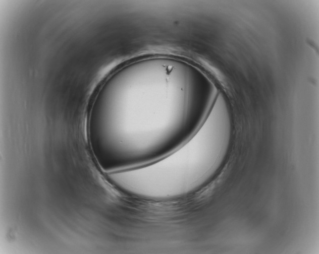 X0000095901272200801110757