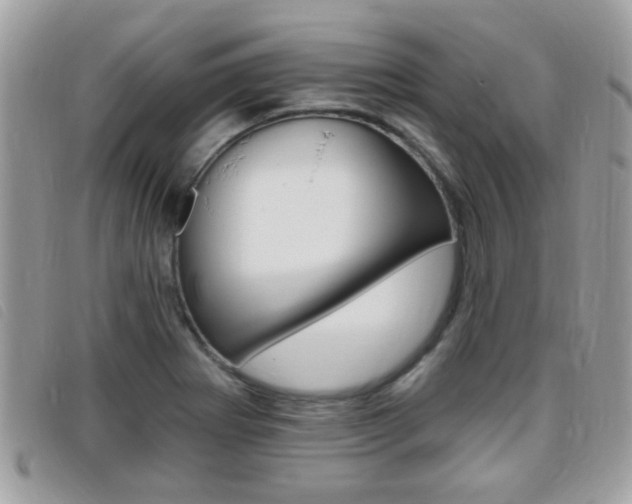X0000095901273200801110757