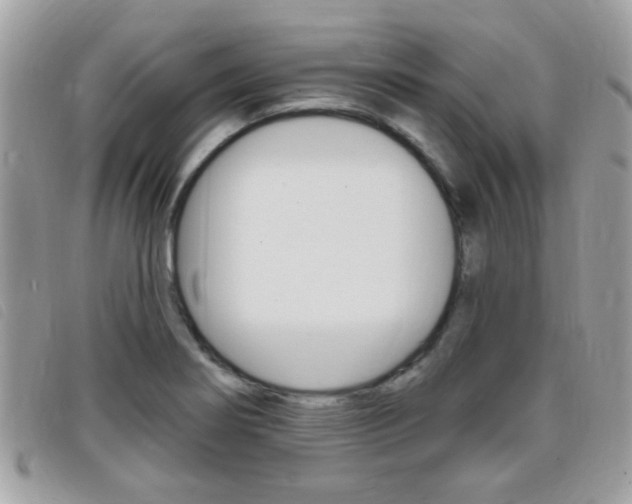 X0000095901274200801110757