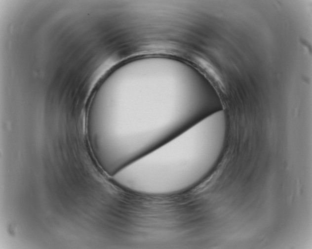 X0000095901275200801110757