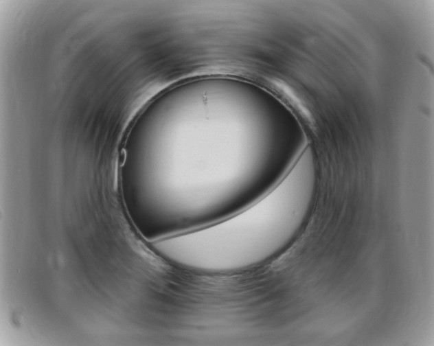 X0000095901276200801110757