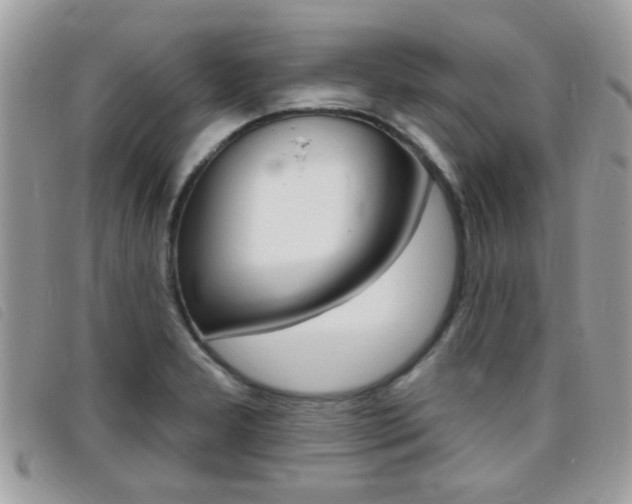 X0000095901277200801110757