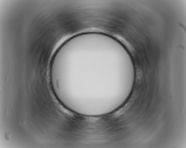 X0000095901278200801110757