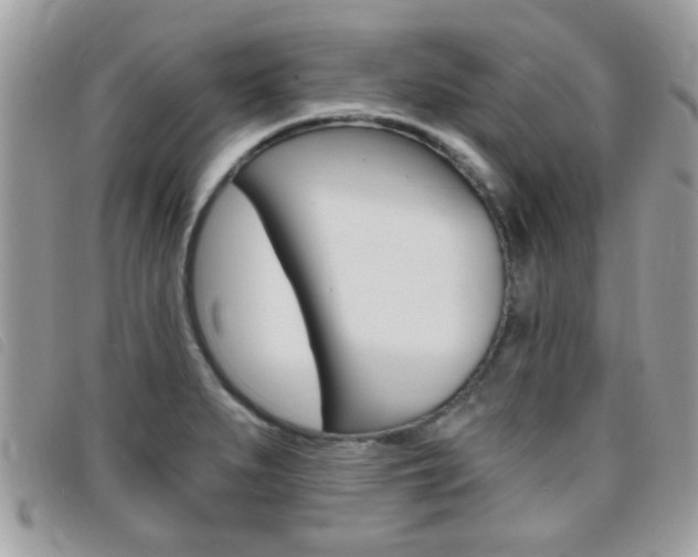 X0000095901279200801110757