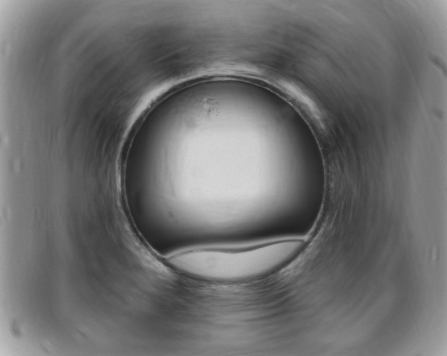X0000095901280200801110757