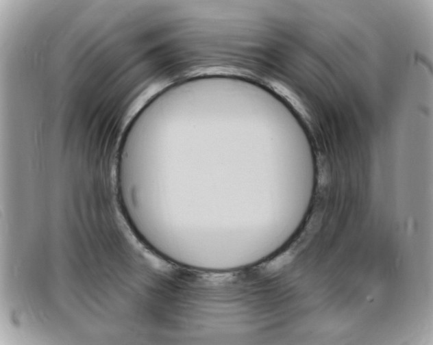X0000095901282200801110757