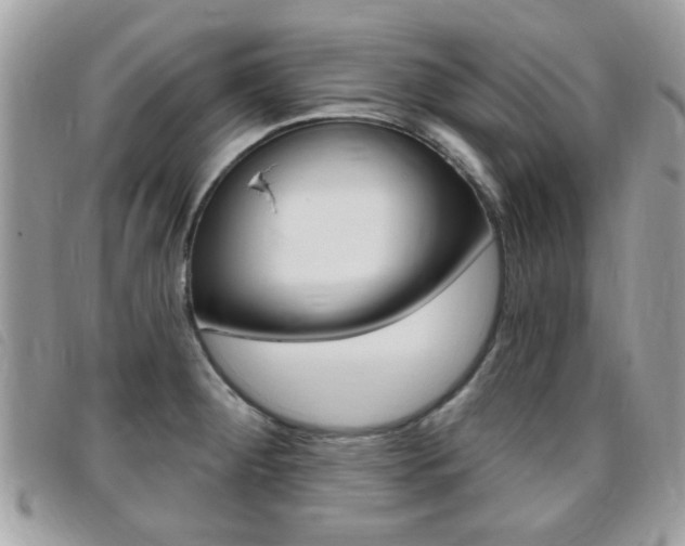 X0000095901284200801110757