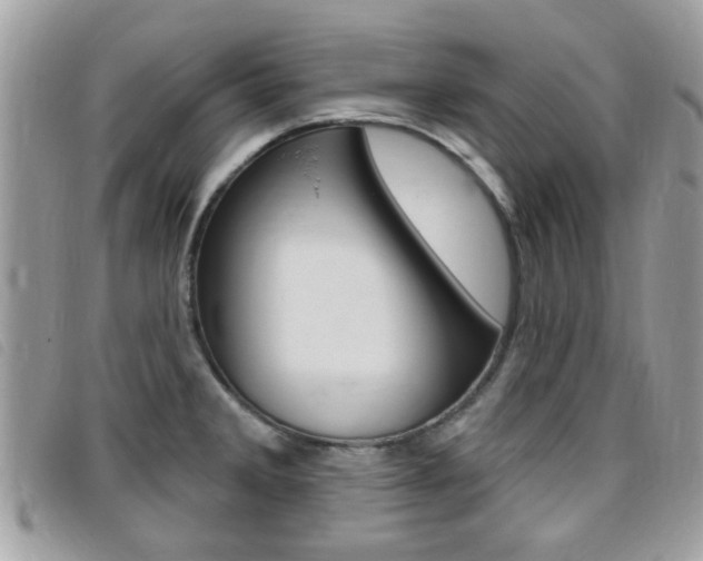 X0000095901285200801110757