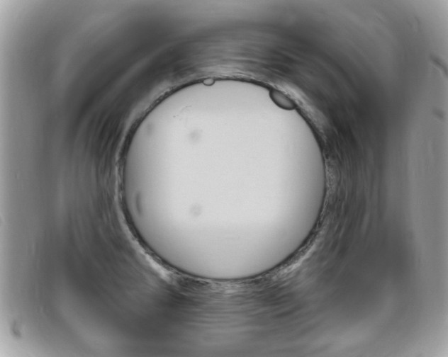X0000095901286200801110757