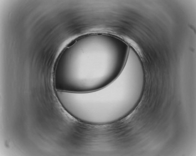 X0000095901288200801110757