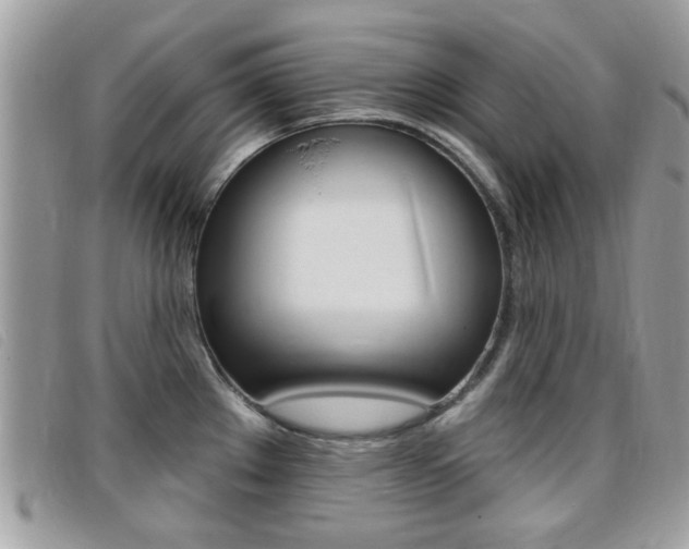 X0000095901289200801110757