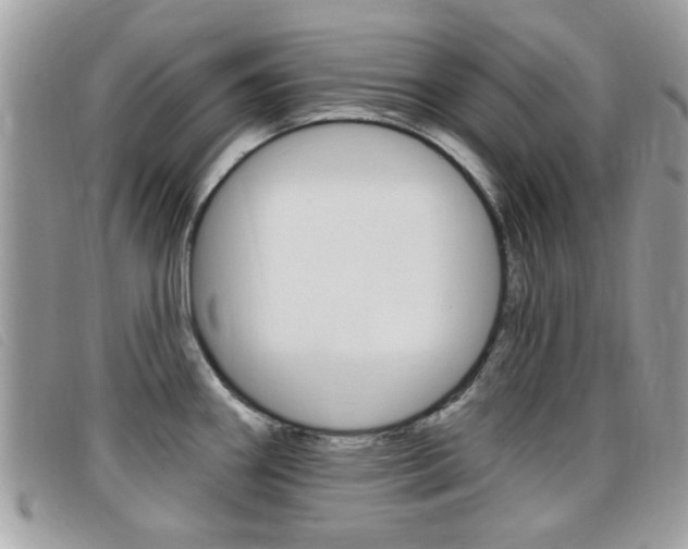 X0000095901290200801110757