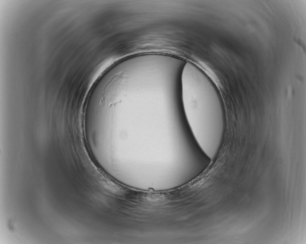 X0000095901291200801110756