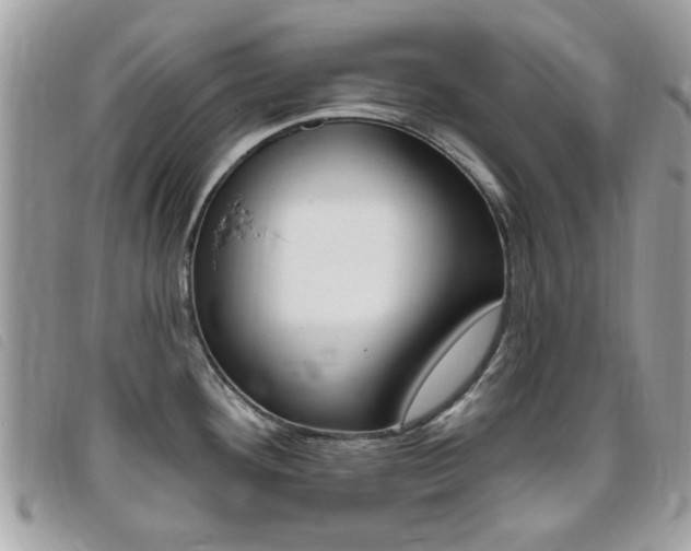 X0000095901292200801110756