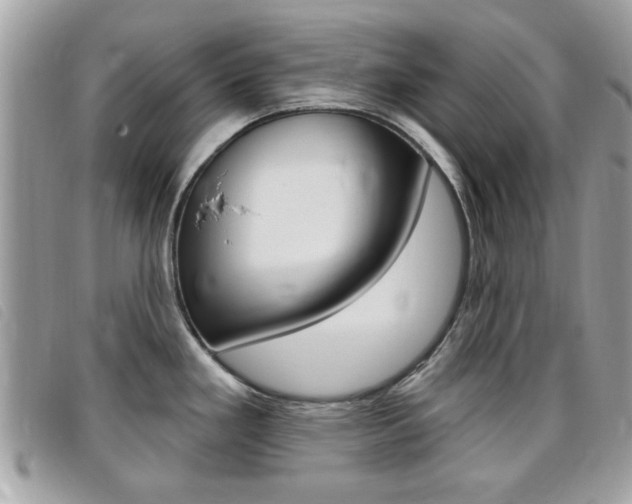 X0000095901293200801110756
