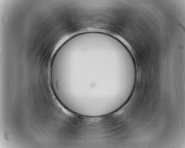 X0000095901294200801110756
