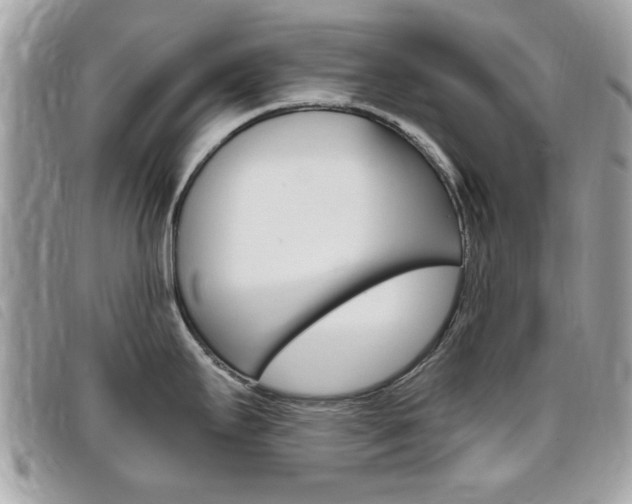 X0000095901295200801110756