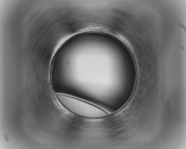 X0000095901296200801110756