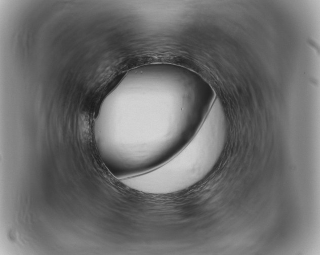 X0000095901298200801110756
