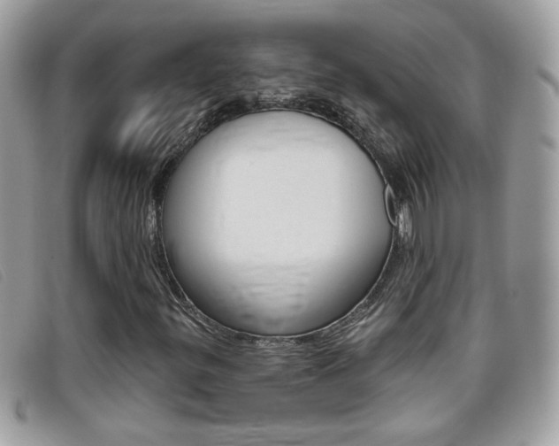 X0000095901299200801110756