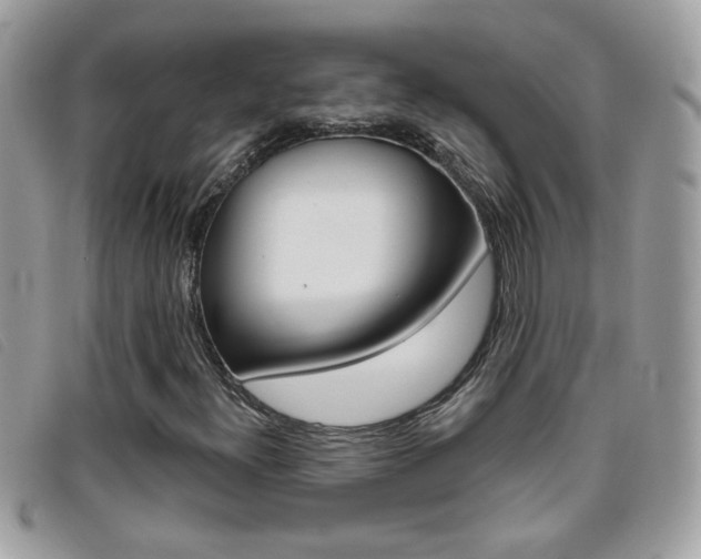 X0000095901300200801110756