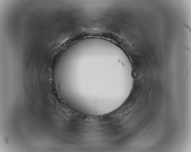X0000095901301200801110756