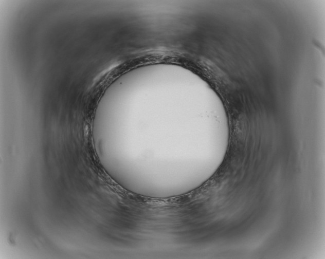 X0000095901302200801110756