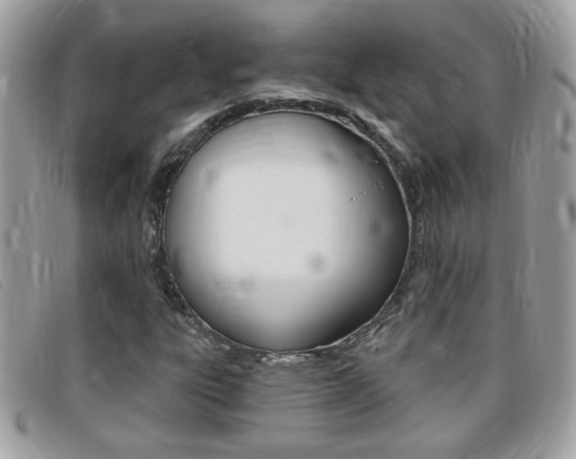 X0000095901303200801110756