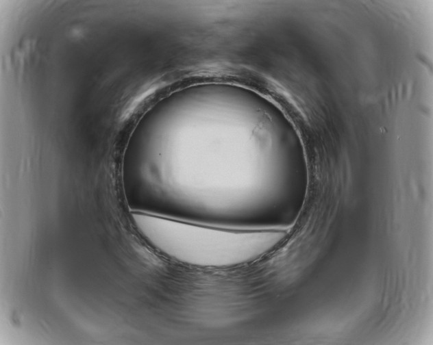 X0000095901304200801110756