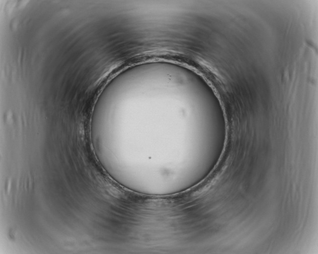 X0000095901305200801110756