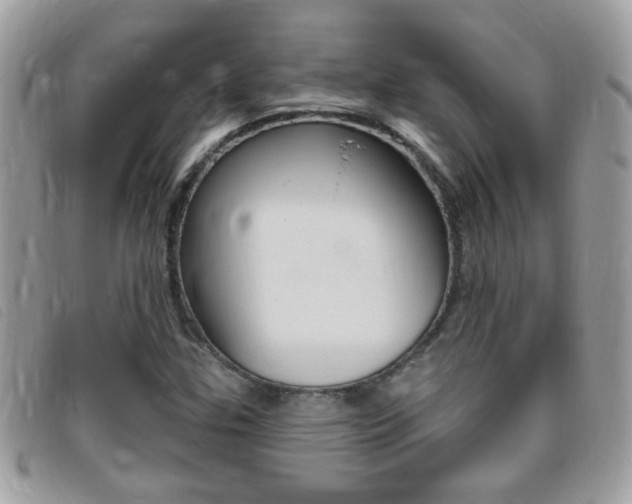 X0000095901307200801110756