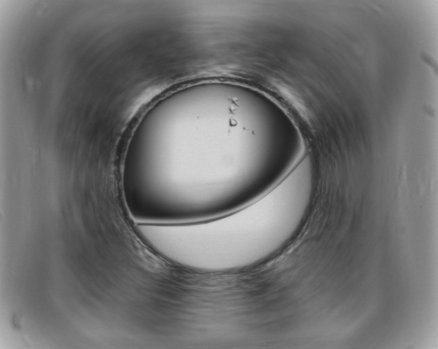 X0000095901308200801110756